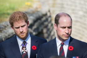 O nouă criză în familia regală britanică. Prinții William și Harry și-au împărțit banii. Ce urmează